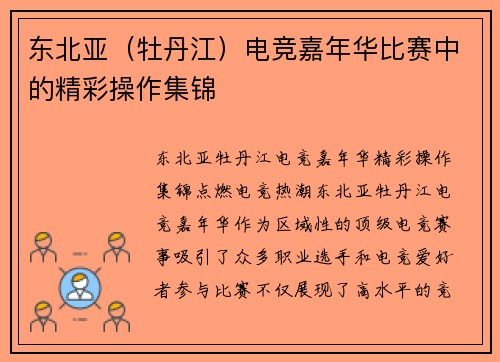 东北亚（牡丹江）电竞嘉年华比赛中的精彩操作集锦