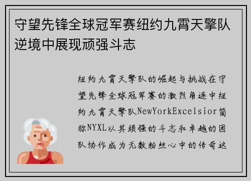 守望先锋全球冠军赛纽约九霄天擎队逆境中展现顽强斗志