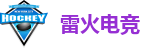 雷火电竞